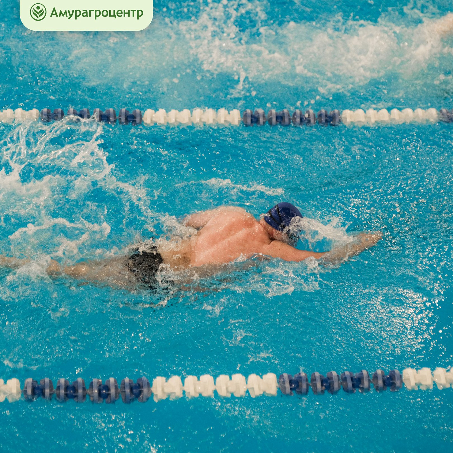 Команда «Амурагроцентра» показала отличный результат на соревнованиях по плаванию
