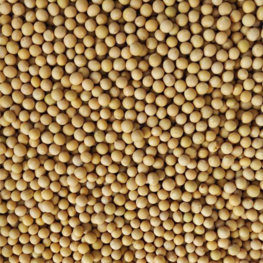 Соевые бобы